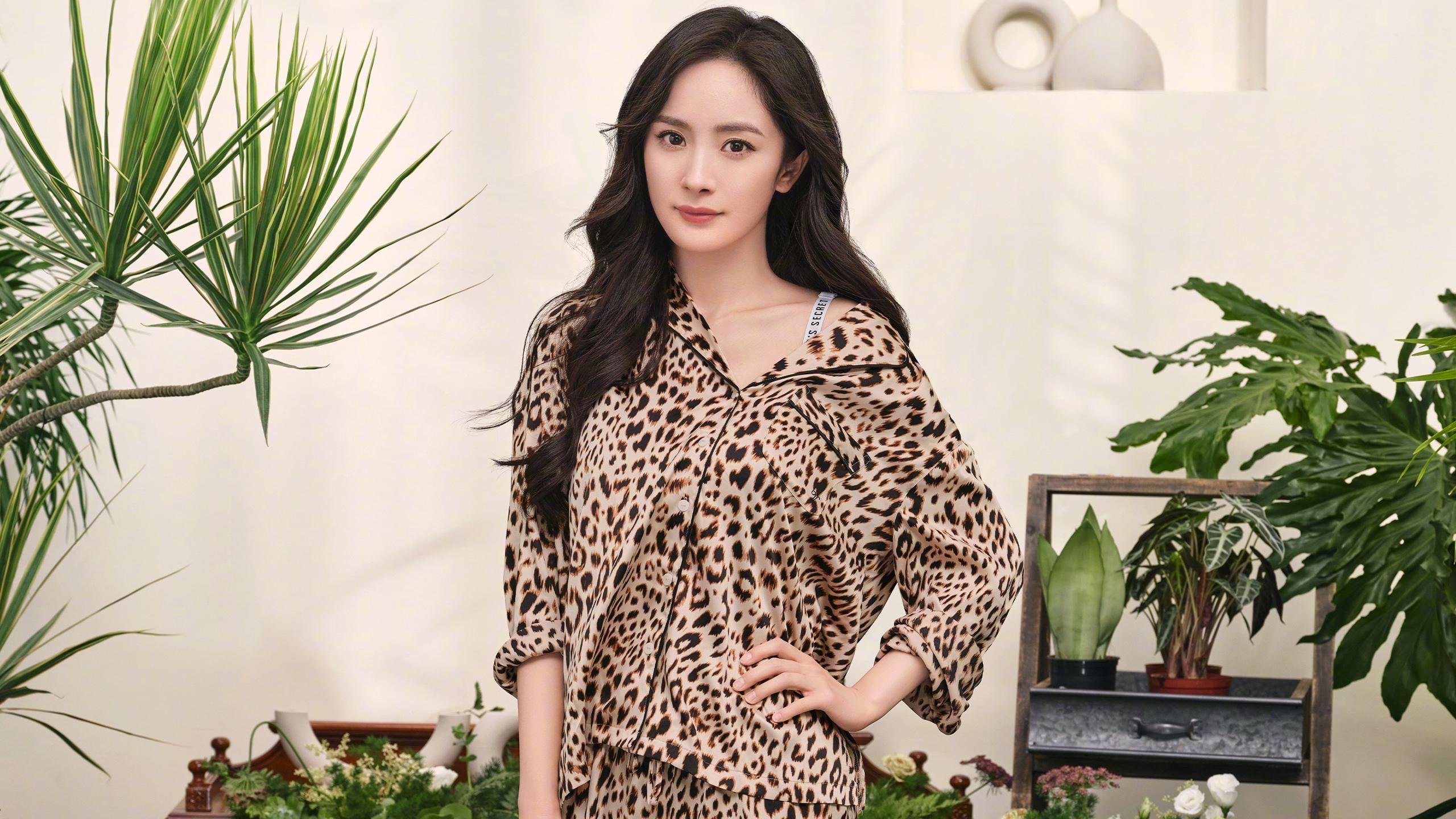 开云网址入口-_爵士稳定发力，排名持续领先_，爵士榜单