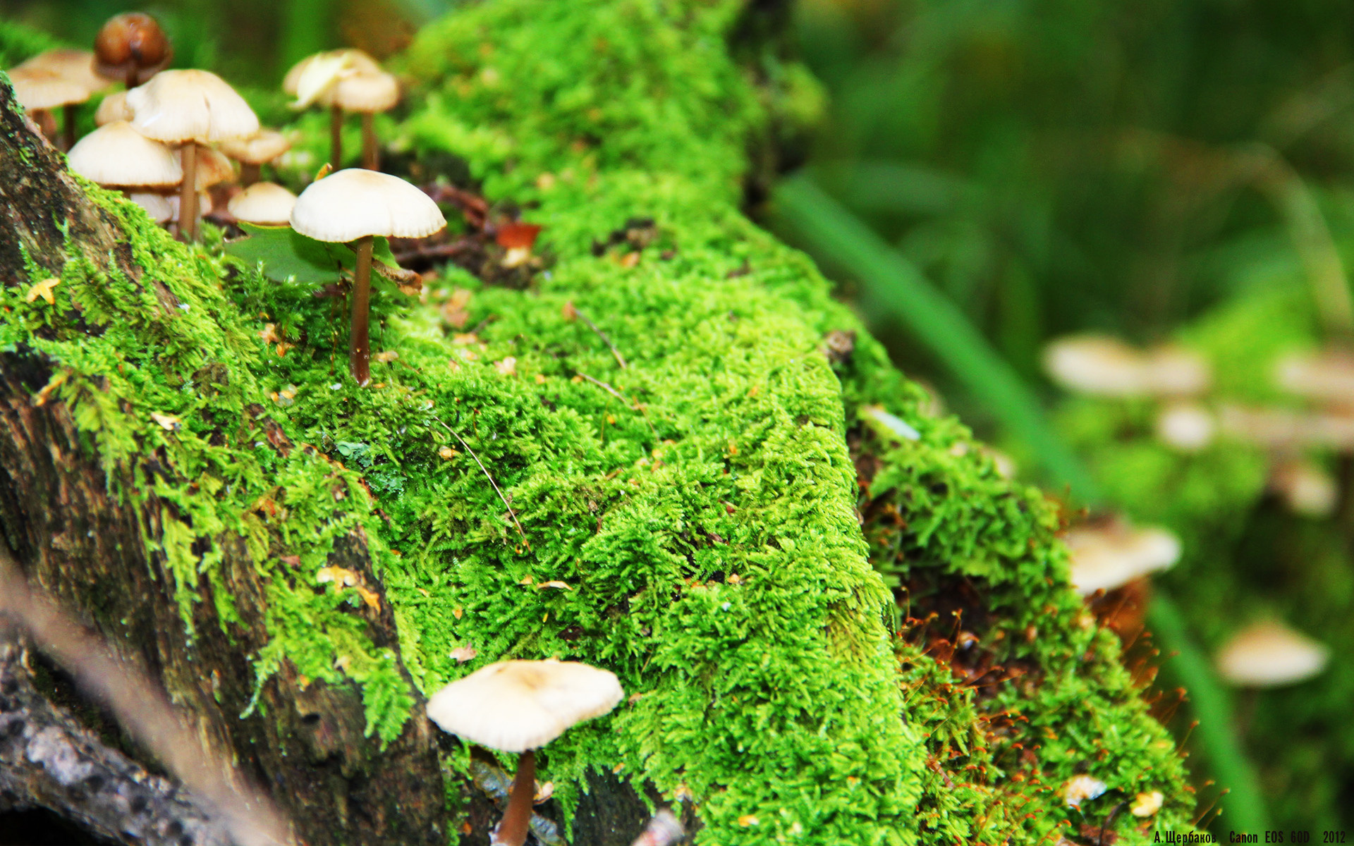 开云官网登录-“中国女足突破国际瓶颈，逐步迈向世界强队行列”，中国女足迎战世界第3